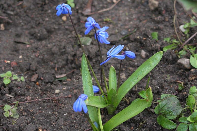 Killikus® Fotographie Killikus® Fotographie